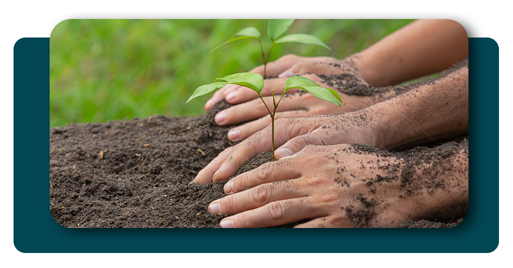 Programa Bolsa Verde