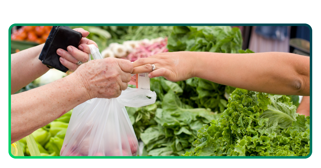 Cartão SER Família MT