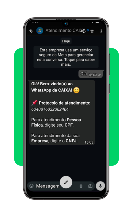 Saldo do Bolsa Família