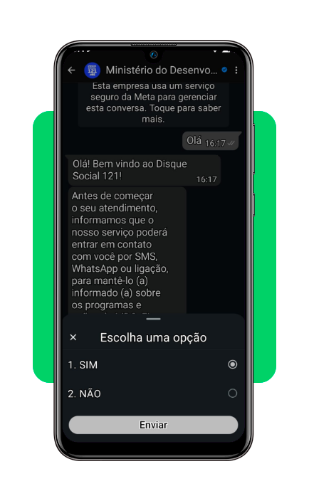 Saldo do Bolsa Família