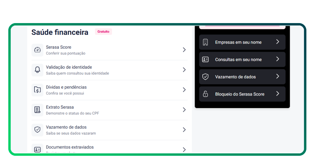 consulta completa no Serasa
