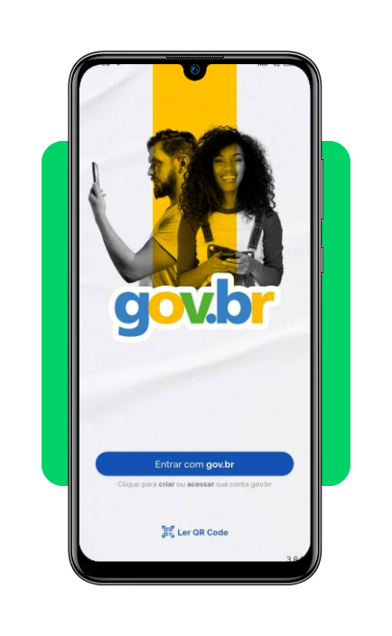 sistema de doações do governo